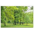thumbnail image 1 of Trees Forest Ceramic Tile Mural Kitchen Backsplash Bathroom Shower, 401707-S64, 1 of 3