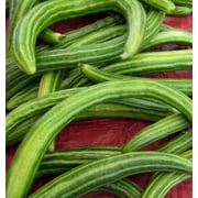 Earthcare Seeds - Cucumber Armenian Dark Green 60 Seeds (Cucumis Melo Var. Flexuosus) Heirloom - Open Pollinated