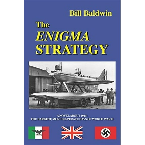 The Enigma Strategy (Paperback)