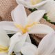 thumbnail image 5 of Easter Wreath with Garland, Easter Wreath Decor for Front Door , Artificial Celebration Wreath White, 5 of 5