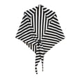 thumbnail image 2 of Heisall Women's Stripe Shawl Wraps, Soft Knitted Polyester Shawl, Lightweight Warmth Wrap Scarf for Casual and Daily Wear, 2 of 5