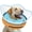 OrangeBlue, variant on Inflatable Dog Cone Collar to Prevent Licking, Soft Recovery Donut Collar for Dogs, Adjustable Post-Surgery Alternative for Dogs