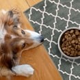 thumbnail image 1 of SussexHome Pets Cat and Dog Litter Mat for Litter Box - Washable Soft Cat and Dog Feeding Mat - Paws-Kind Slip Resistant Place Mat - 2' x 3', 1 of 5