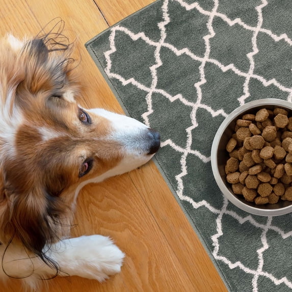 SussexHome Pets Cat and Dog Litter Mat for Litter Box - Washable Soft Cat and Dog Feeding Mat - Paws-Kind Slip Resistant Place Mat - 2' x 3'
