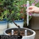 thumbnail image 3 of Tubos de aireación para plantas Tubos de ventilación para macetas Tubos para prevenir la pudrición de las raíces Evitan el riego excesivo en todo tipo de macetas, 3 of 7