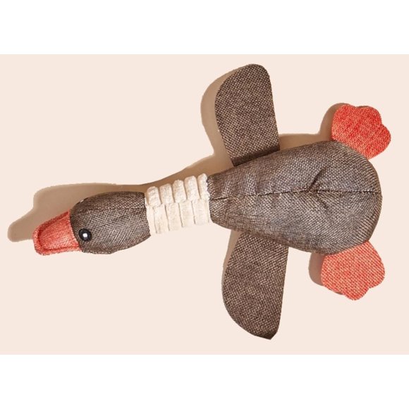ERDS-Plush Crinkle Dog Toy for Small, Medium, and Large Breeds, Cute with Soft Squeaker, Fun for Indoor Puppies and Senior Pups, Plush No Mess Chew and Play (Brown)