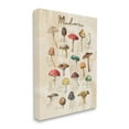 thumbnail image 3 of Stupell Industries Vintage Mushroom Types Diagram Landscape Painting Gallery Wrapped Canvas Print Wall Art, 3 of 5
