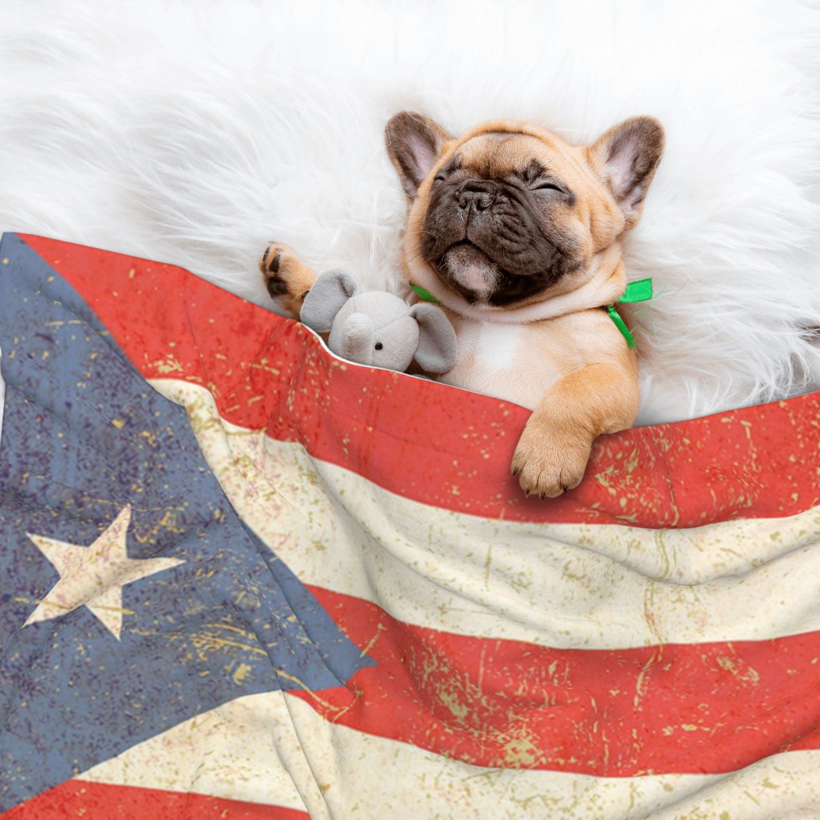 Puerto Puertorico Flag Dog Blanket Soft Warm Flannel Cat Blanket Great Pet Throw for Cats Puppy Small Medium Large Dog