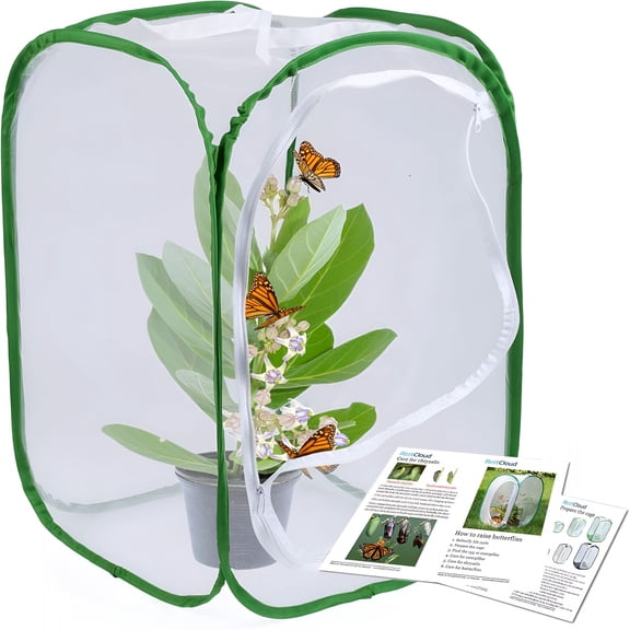 BESTSKY 23.6"Large Butterfly Habitat Insect Cage Caterpillars Enclosure Pop-Up Clear View 6 Mesh Panels 15.7 X 15.7 X 23.6 Inches Tall