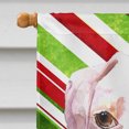 thumbnail image 3 of Carolines Treasures RDR3002CHF Cooper Candy Stripe Boxer Christmas Flag Canvas House Size, 3 of 4