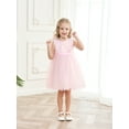 thumbnail image 6 of famuka Toddler Sequin Dress Little Girl Sleeveless Party Dress Summer Mesh Tulle Dress, 6 of 10