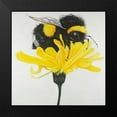 thumbnail image 2 of Atelier B Art Studio 15x15 Black Modern Framed Museum Art Print Titled - Hungry Bumblebee on a Dandelion, 2 of 5