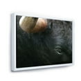 thumbnail image 3 of Close-Up Of Eye Fighting Bull Head 32 in x 16 in Framed Photography Canvas Art Print, by Designart, 3 of 5