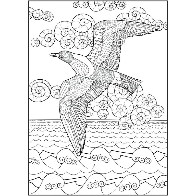 Cra-Z-Art, Office, Timeless Creations Dreams Take Flight Coloring Book  Nature Theme 64 Pages