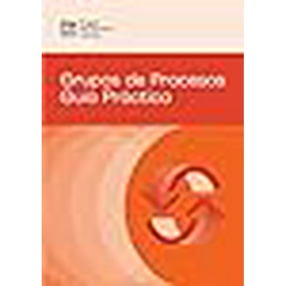 Process Groups: A Practice Guide (SPANISH) (Paperback)