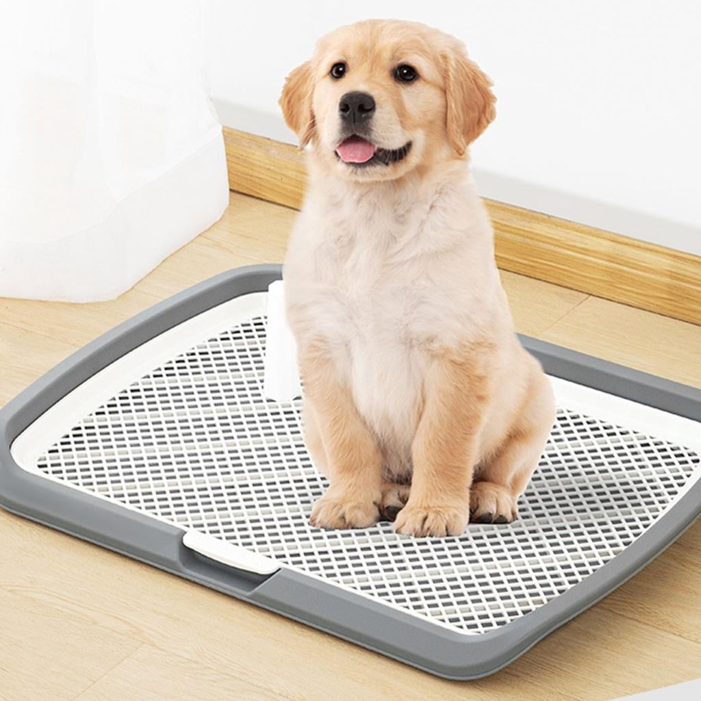 AOOOWER Oversized Dog Pee Pad With Stand Post For Indoor Use For Small Space