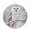 Gray, variant on Welcome Sign for Front Door,Winter Owl Round Metal Welcome Front Porch Decoration,Country Birds Animal Tree Branches Snow Wall Hanging Sign for Living Room Kitchen Hallway Housewarming Gift 12''