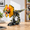 Dilophosaurus, variant on Mechanical Dragon Building Block Set-fire Model