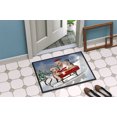 thumbnail image 4 of Carolines Treasures PTW2015JMAT Dogs And Kitten In Sled Need For Speed Indoor & Outdoor Mat- 24 x 36 in., 4 of 4