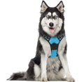 thumbnail image 1 of Arnés para perros Arnés para perros, arnés antitirones para mascotas con 2 clips para correa, chaleco acolchado suave ajustable para perros, chaleco reflectante Oxford para mascotas al aire libre, 1 of 5