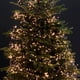 thumbnail image 3 of Cadena de luces Dazzle Bright de 25 m, 1000 LED, resistente al agua, 8 modos, 3 of 7