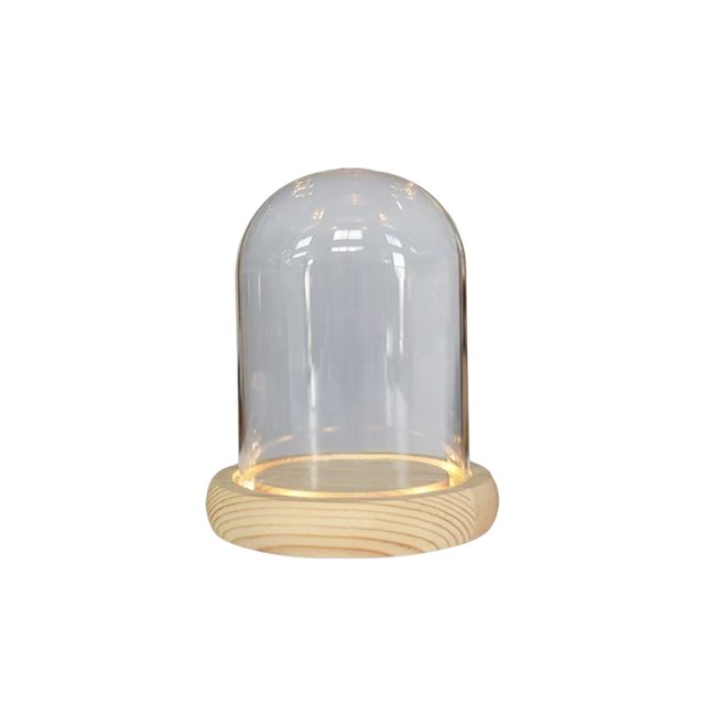 Bearachild de cúpula de cristal para Hotel, mesita de noche, jarrón de flores secas iluminadas, botella de exhibición, terrario con paisaje, tarro, Iluminación y accesorios 9x12cm Bearachild HA074928-01