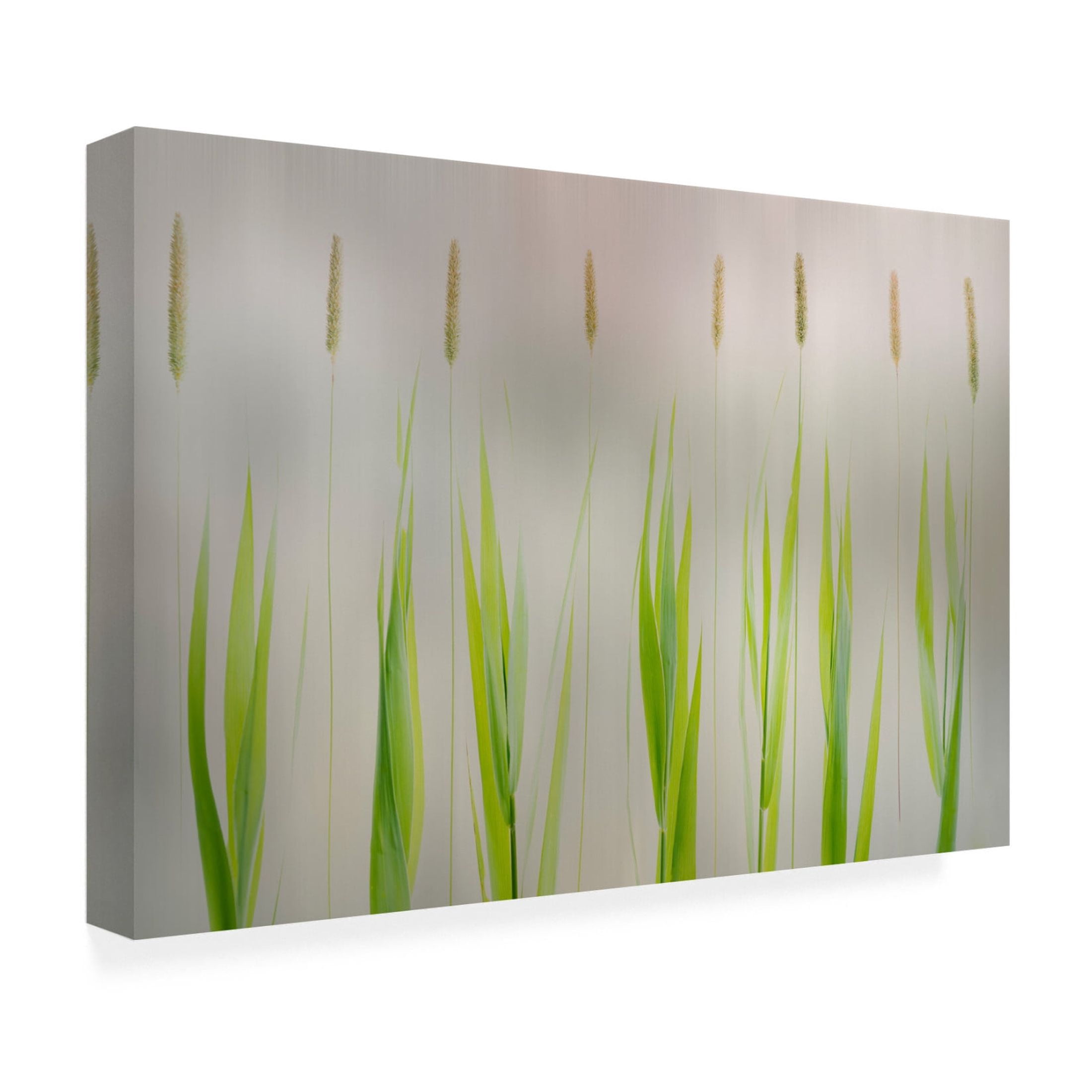 Canvas Wall Art - Greetje Van Son 'Harmony' Wall Art for Living Room, Bedroom, or Office Décor by Trademark Fine Art - 32 x 22 Inches