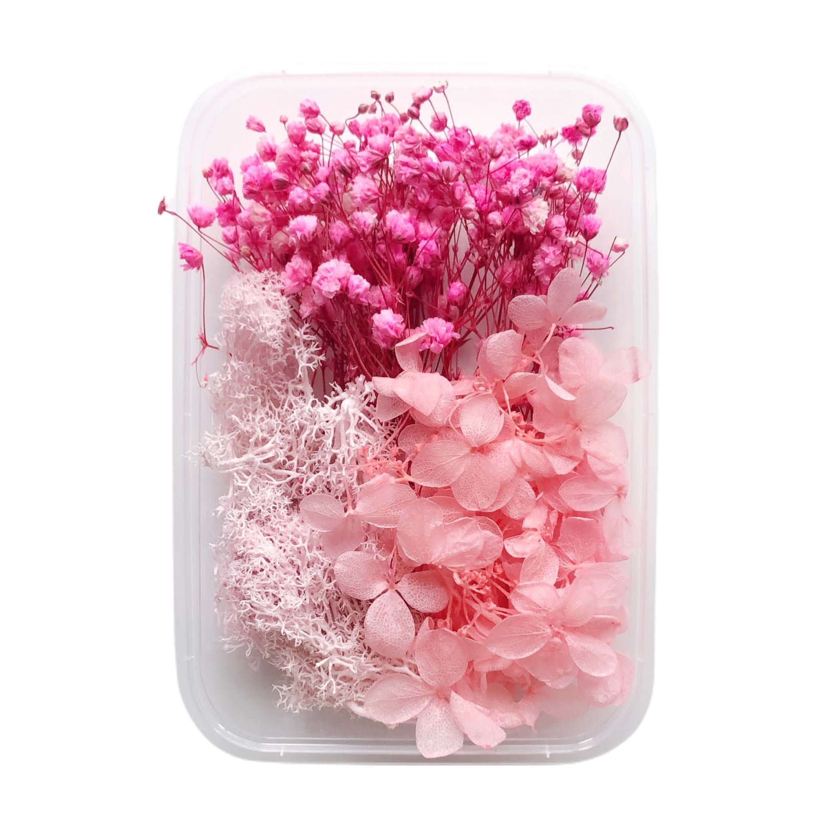 GadgetVLot Diy Dried Flowers Material Eternal Flower Artificial Multicolor  Festival Supplies Home