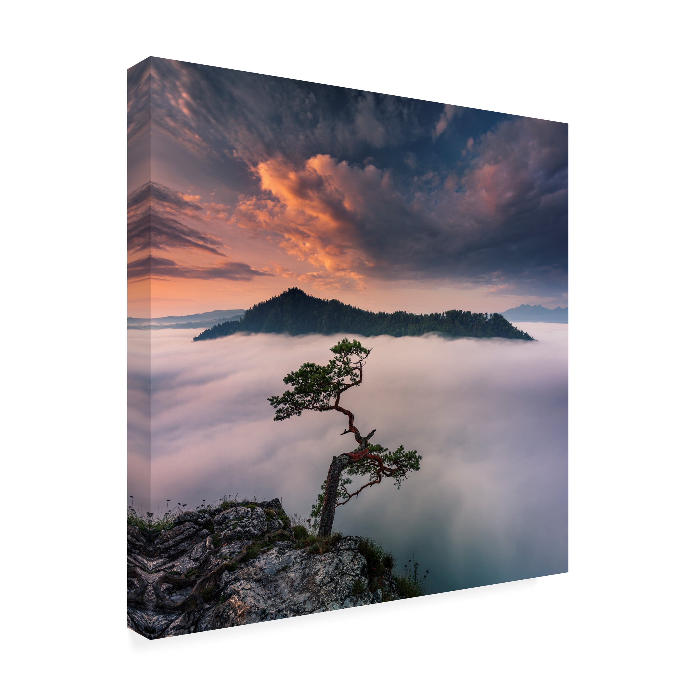 Karol Nienartowicz 'Bonsai VI' Canvas Art