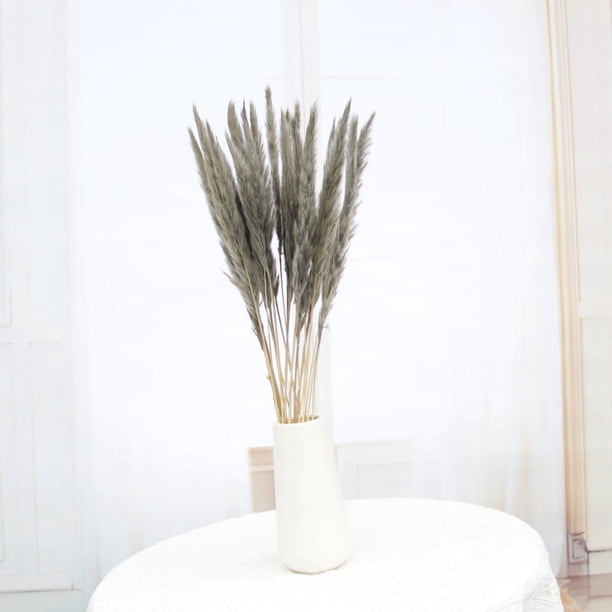 Pequeño ramo de flores secas de juncos, flor eterna, adornos para decoración del hogar, regalo de San Valentín y Navidad