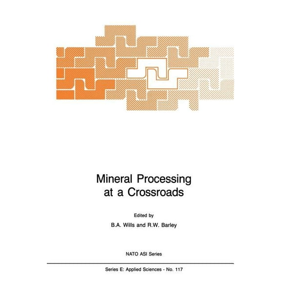 NATO Science Series E: Mineral Processing at a Crossroads: Problems and Prospects, Book 117, (Paperback)