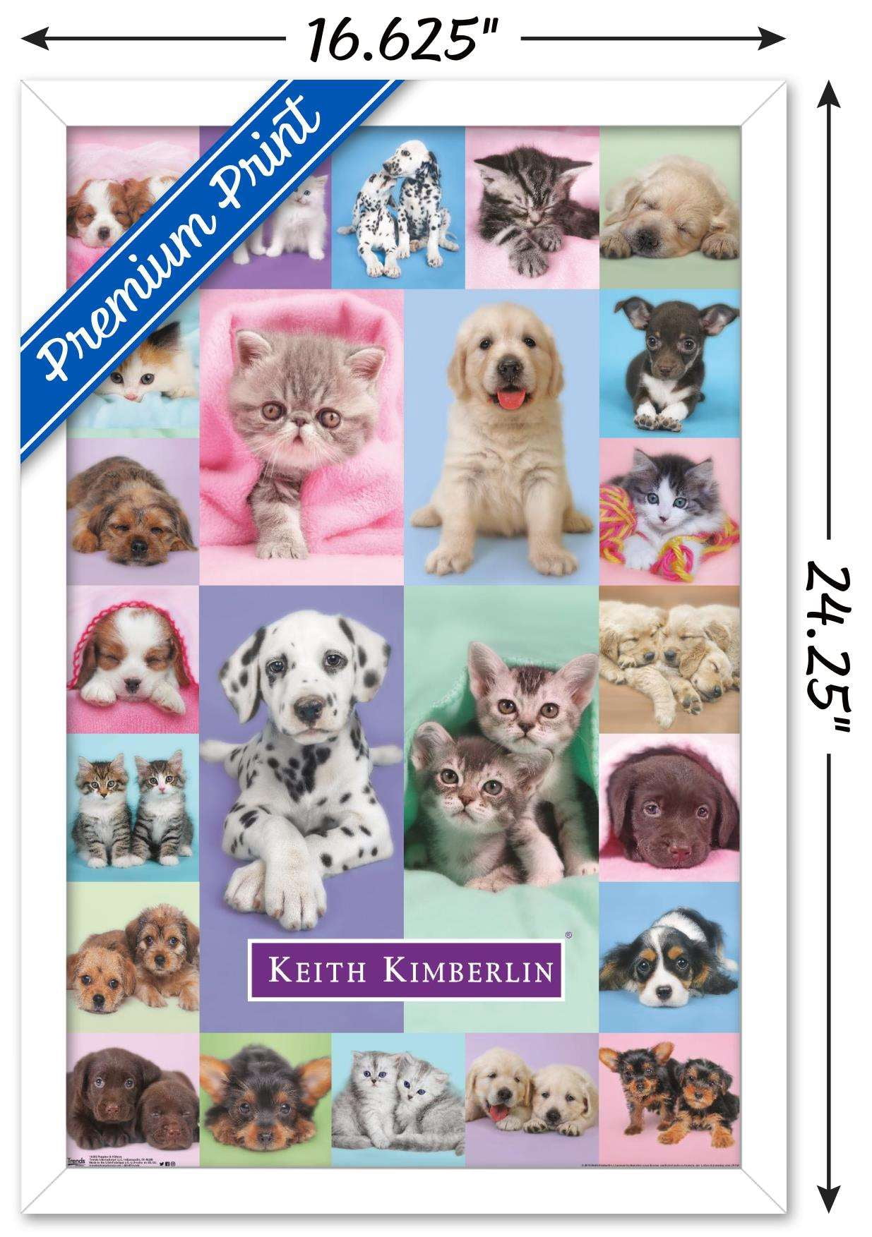 Keith Kimberlin - Puppies and Kittens Wall Poster, 14.725" x 22.375", Framed
