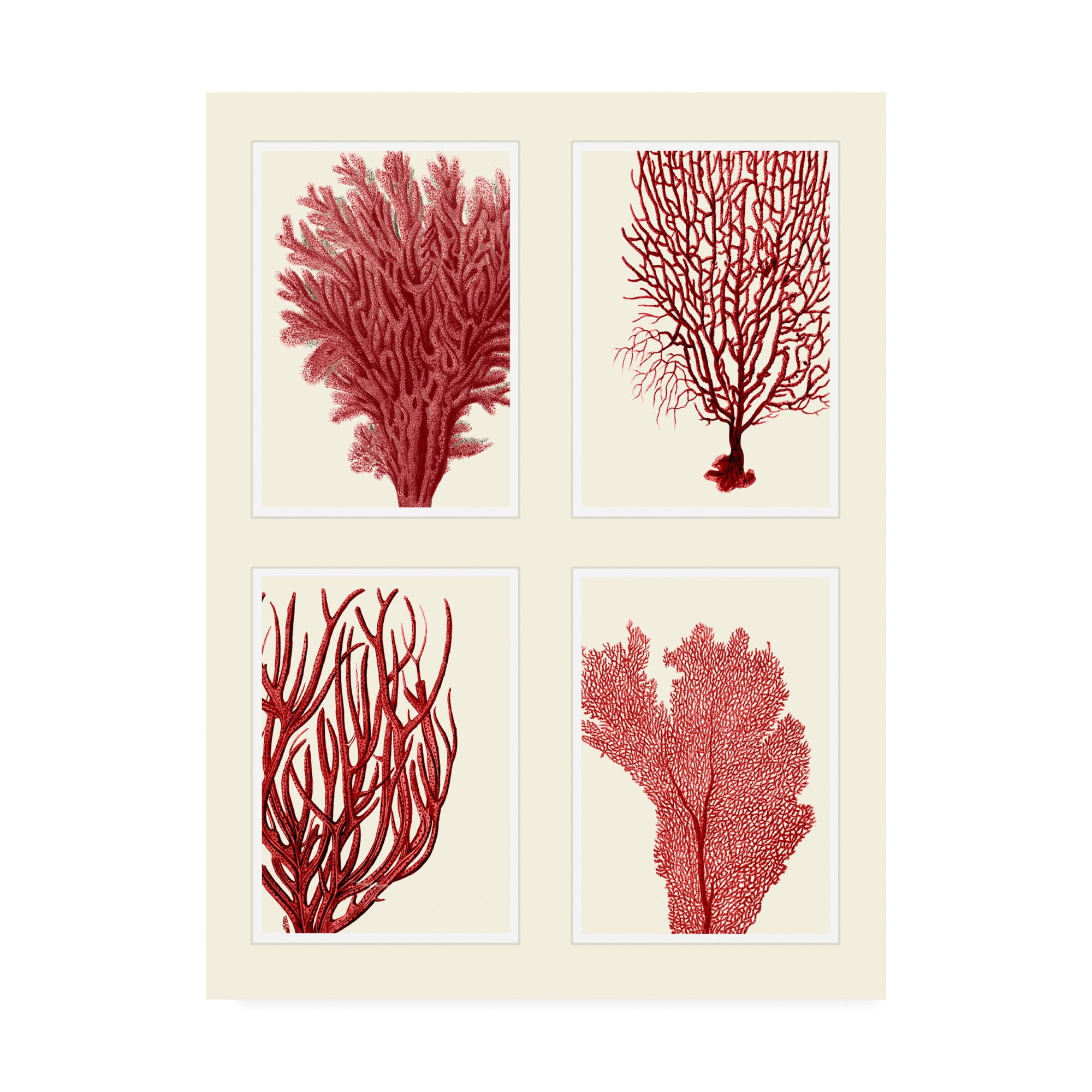 Trademark Fine Art 'Red Coral Print On 4 Panels' Canvas Art by Fab ...