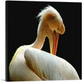 thumbnail image 1 of ARTCANVAS Pelican Home decor Canvas Art Print - Size: 36" x 36" (1.50" Deep), 1 of 9