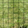 thumbnail image 3 of Trident Fence 5' x 100' 12.5ga. Welded Wire Fence Roll Black PVC Coated - 3" x 3" Mesh, 3 of 5