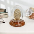 thumbnail image 2 of Plymor 3" x 4" Glass Display Dome Cloche (Walnut Veneer Base), 2 of 2