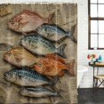 thumbnail image 2 of Coastal Nautical Bathroom Shower Curtains with 12 Hooks Polyester Waterproof Shower Curtain for Stalls and Bathtubs Summer Ocean Vintage Fishes Print Decorative Bathroom Privacy Curtain 72x78 Inches, 2 of 9