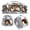 Style 01, variant on Small Animal Tubes & Tunnels Style 01 for Guinea Pigs, Hamsters, and Other Small Pets