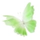 thumbnail image 1 of Mariposa de gasa artificial, mariposa gigante, decoración artesanal, fondo decorativo Verde, 1 of 9