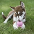 thumbnail image 3 of KONG Easy TreatTM Chiot, 3 of 3