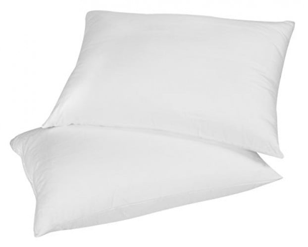 2 Pacific Coast Marriott Hotels Touch of Down Queen Pillows 