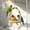 B, variant on Bird Chewing Toy, Parrot Hanging Swing, Natural Wood Perch Stand, Cage Mounted Grinding Stick, Parrot Supplies for Beak Conditioning
