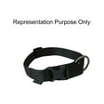 thumbnail image 3 of Zeus Adjustable Nylon Dog Collar, Medium, 3 of 3