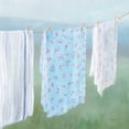 thumbnail image 2 of Nai, Danhui 12x12 Black Ornate Wood Framed with Double Matting Museum Art Print Titled - Laundry Day II, 2 of 4