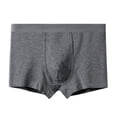 thumbnail image 2 of Ceisia Men's Solid Cotton Stretch Mid-Rise Boxer Briefs for Comfort & Daily Wear Gray L Gifts, 2 of 3