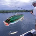 thumbnail image 2 of Bangcool 6PCS 1.38'' Fishing Bait Mini Portable Floating Fish Bait Fishing Hook Bait, 2 of 10
