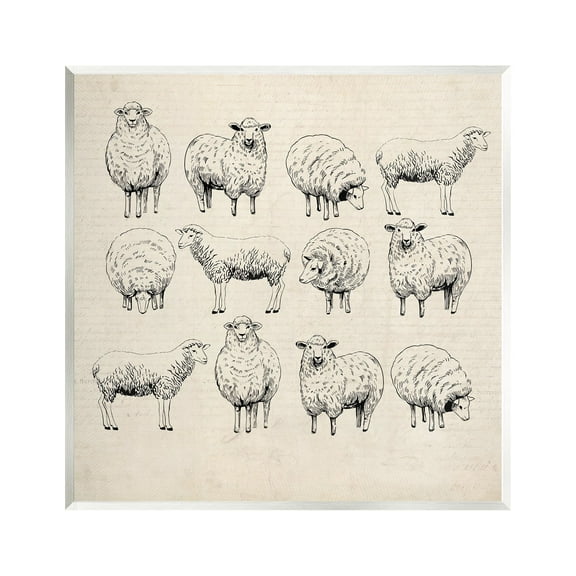 Stupell Industries Vintage Sheep Drawings Animals & Insects Painting Unframed Art Print Wall Art, 12 x 12