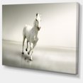 thumbnail image 2 of Magnifique Cheval Blanc Courant - Impression sur Toile d'Art Animalier, 2 of 3