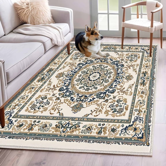 Sage Green Beige Boho Area Rug 4x6 Washable Rug Non Slip Southwestern Geometric Ethnic Large Area Rug Indoor Floor Carpet for Entryway Bedroom Kitchen Living Room Home Office Dining Room Nursery