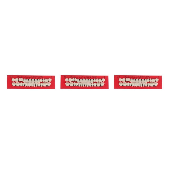 braveheart 28Pcs/Set Realistic Resin Teeth Model Durable Dentures Lightweight False Teeth Tooth Model Educational Teaching Tool As Shown 3Set